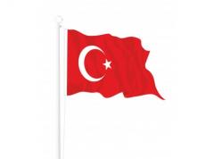 Türk Bayrağı Gönder Tipi